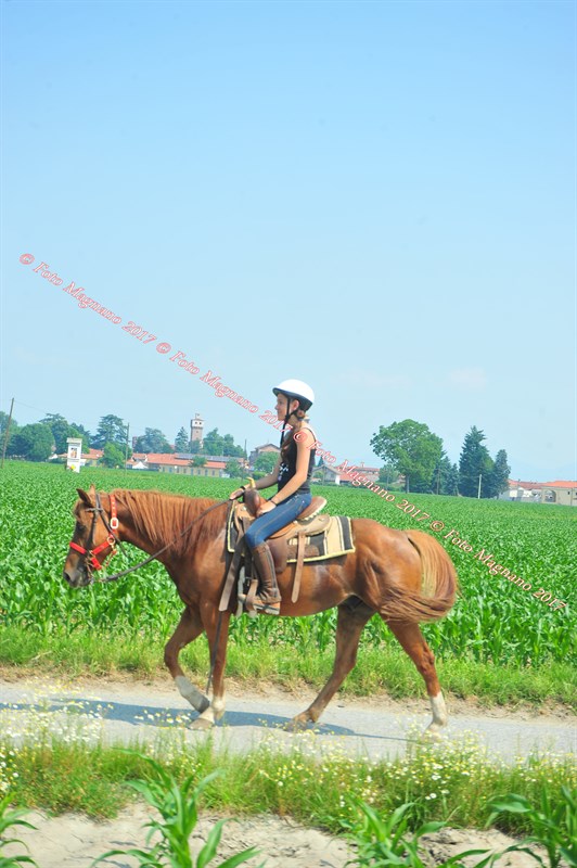 DSC_0866.JPG